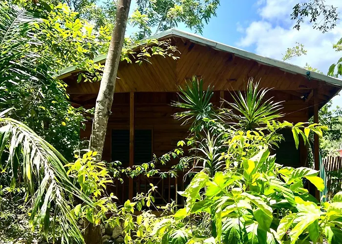 5 Different Sea Side Cottages In Tropical Garden